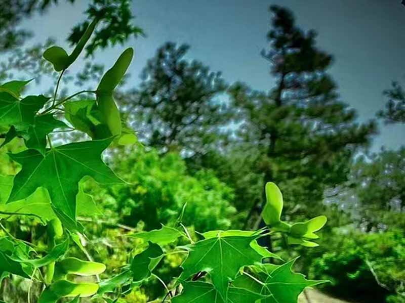 沈阳公墓穴位的的风水影响